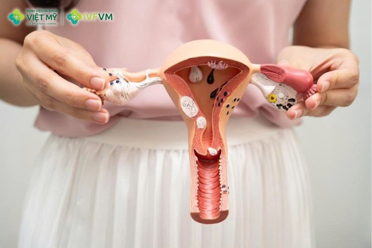 Sau chuyển phôi và trong thai kỳ sớm, progesterone góp phần ổn định môi trường tử cung và hỗ trợ thai phát triển
