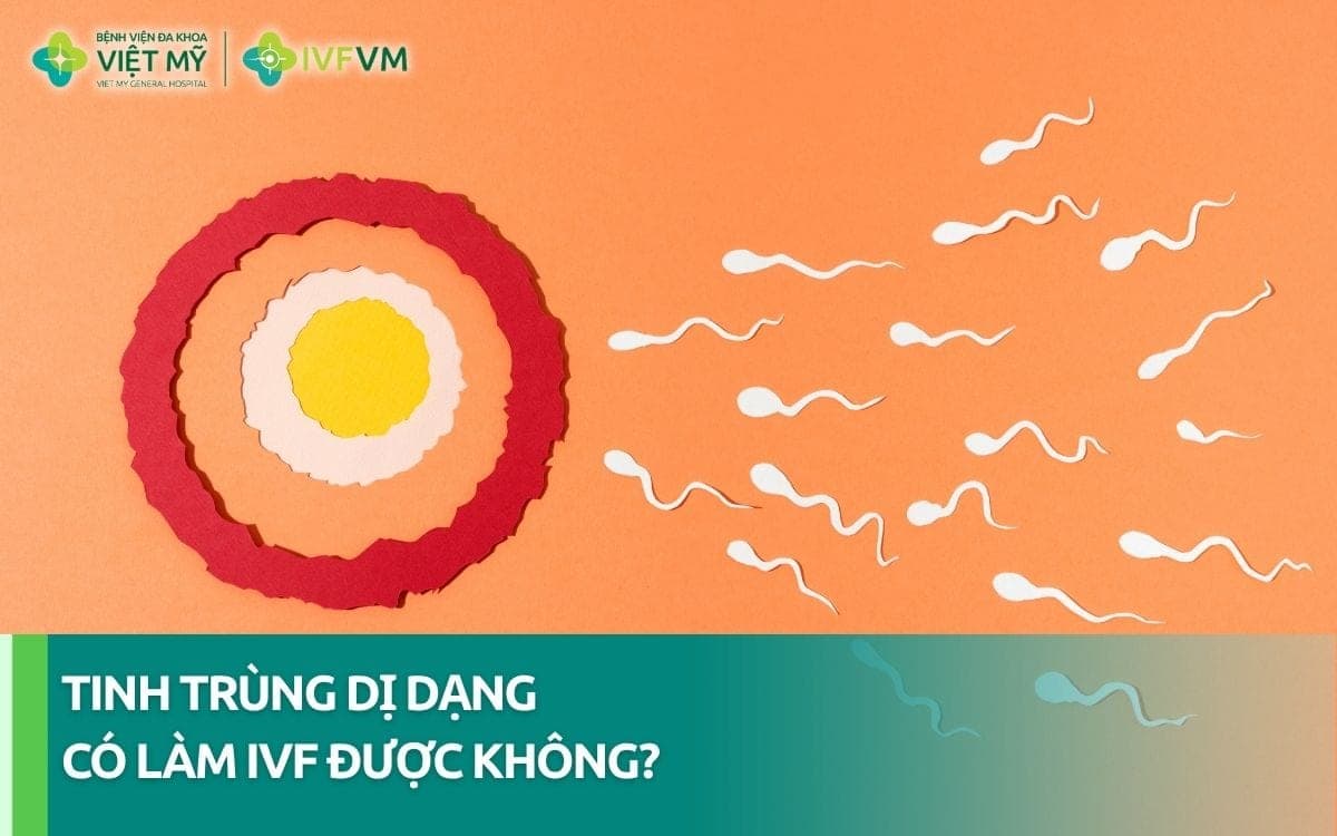 100% Tinh trùng dị dạng có làm IVF được không?