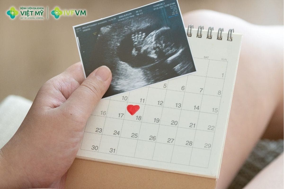Tinh trùng dị dạng không nhất thiết làm giảm đáng kể tỷ lệ thành công IVF
