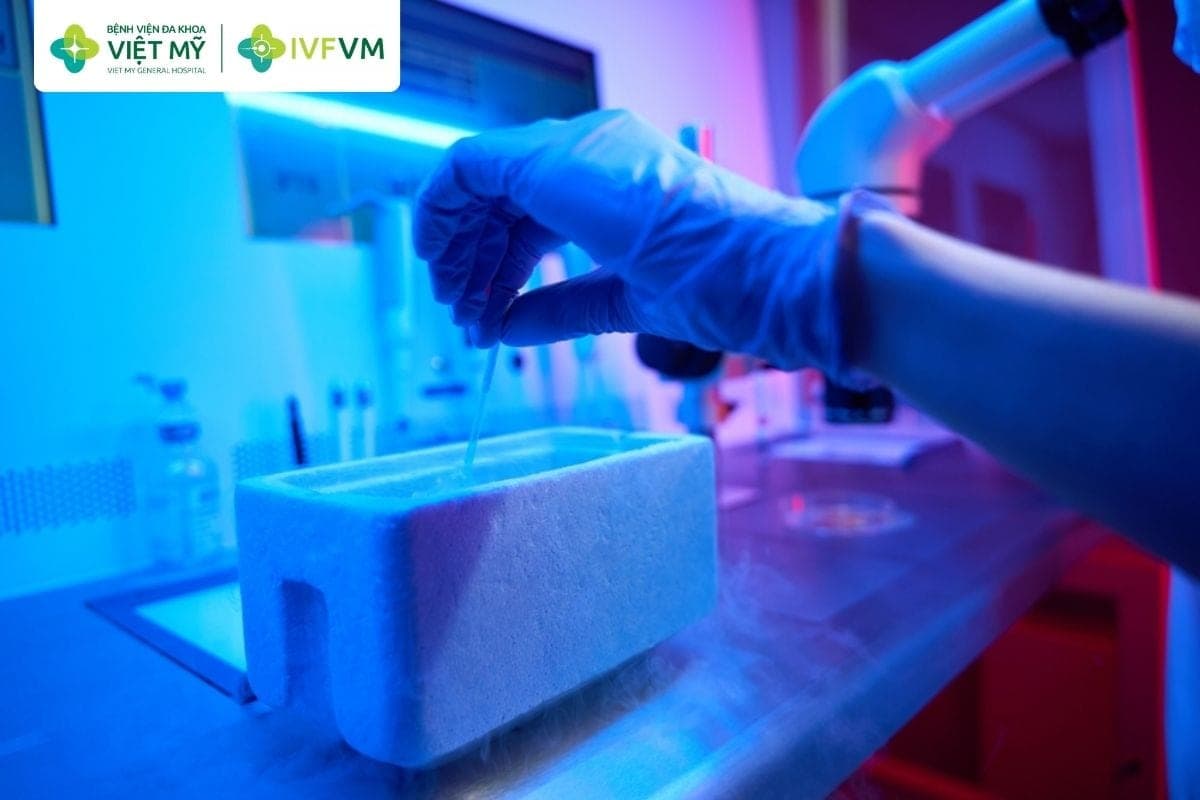 Trữ đông phôi giúp người bệnh có thêm thời gian xử trí tổn thương cổ tử cung trước khi chuyển phôi