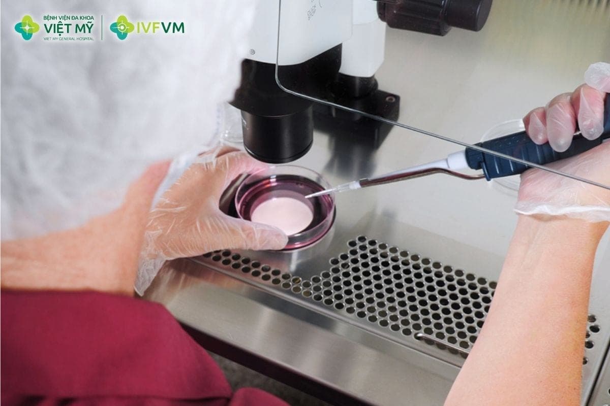 Kỹ thuật gom trứng có thể được chỉ định khi mỗi chu kỳ khó thu được đủ số noãn cần thiết cho kế hoạch tạo phôi