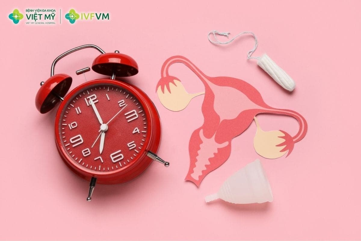 Theo dõi niêm mạc tử cung và chuyển phôi vào buồng tử cung khi đủ điều kiện