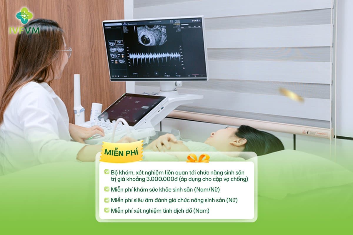 IVF Việt Mỹ miễn phí khám và xét nghiệm chức năng sinh sản trong tháng 9
