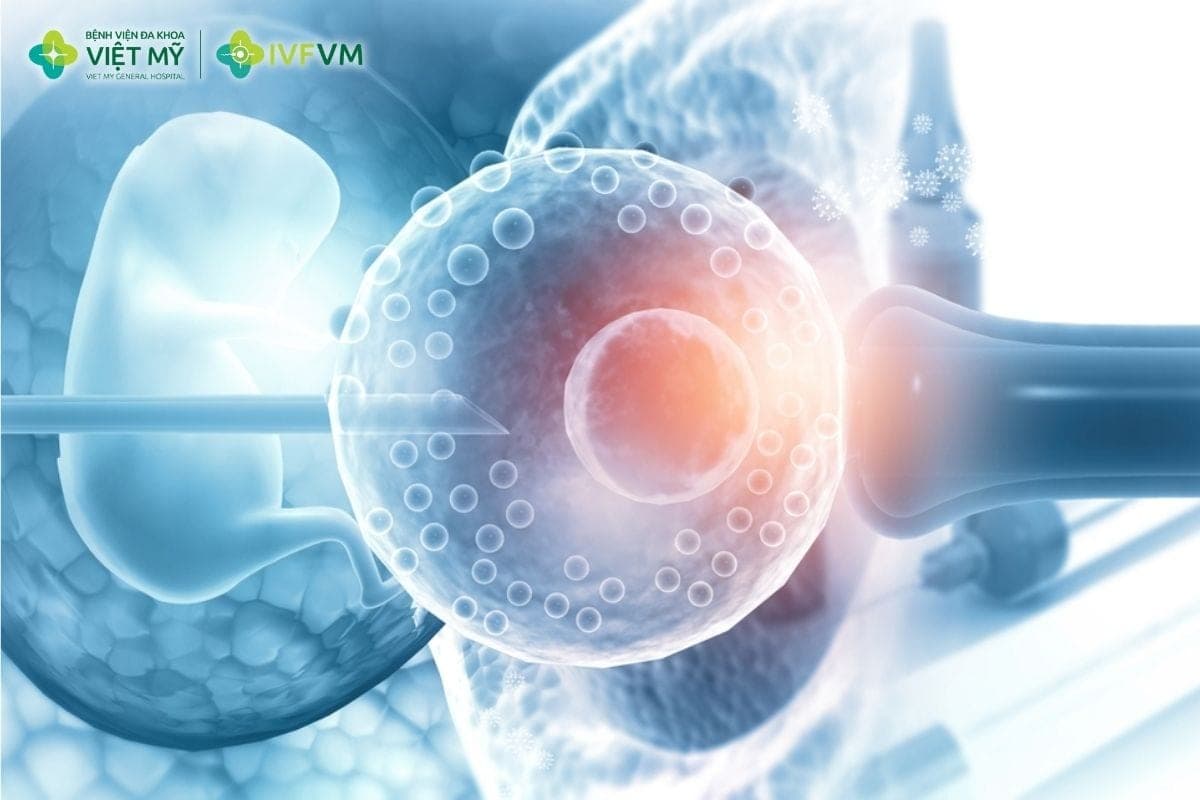 Dính buồng tử cung có thể làm giảm khả năng phôi làm tổ do khoang tử cung bị biến dạng và nội mạc bị tổn thương, giảm khả năng tiếp nhận phôi