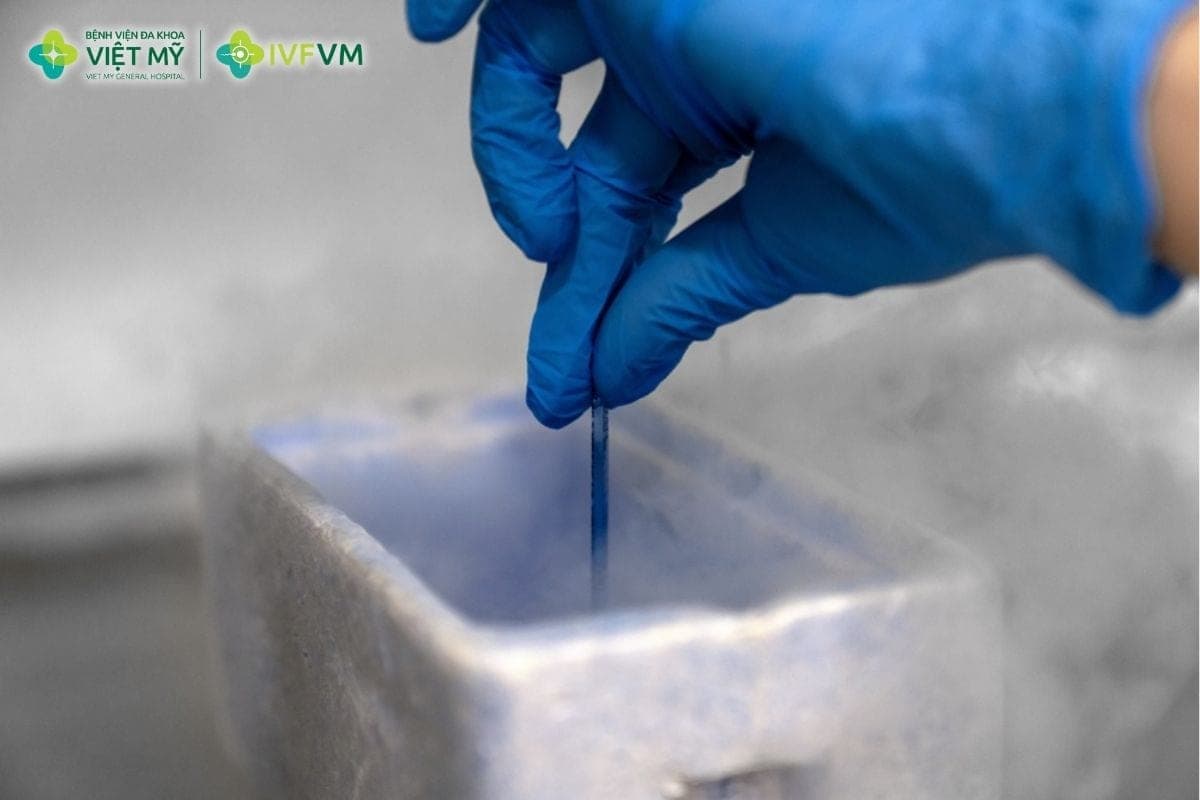 Chuyển phôi trữ đông là đưa phôi đã được đông lạnh trước đó vào tử cung ở một chu kỳ sau