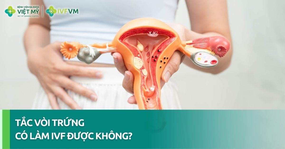 Bị tắc vòi trứng có làm IVF được không? thumb
