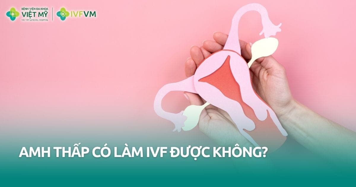 chỉ số AMH thấp có làm IVF được không? thumb