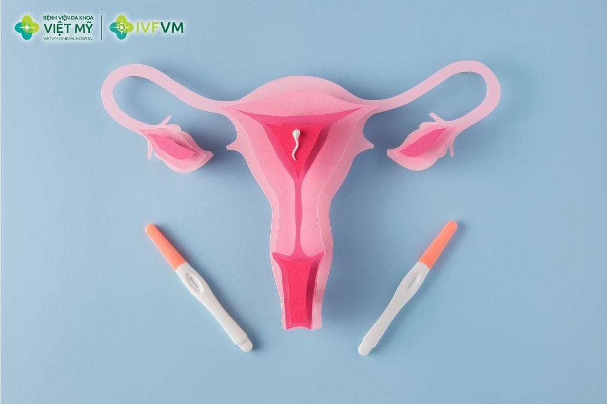 Phụ nữ có AMH thấp vẫn có thể thực hiện IVF, kể cả bằng trứng tự thân, nếu buồng trứng còn đáp ứng và thu được noãn trưởng thành