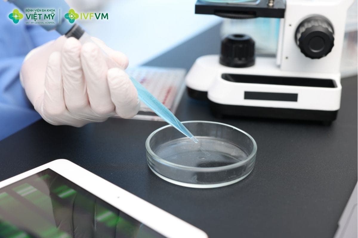 Nuôi phôi đến ngày 5 giúp đánh giá khả năng phát triển và lựa chọn phôi phù hợp để chuyển hoặc trữ đông