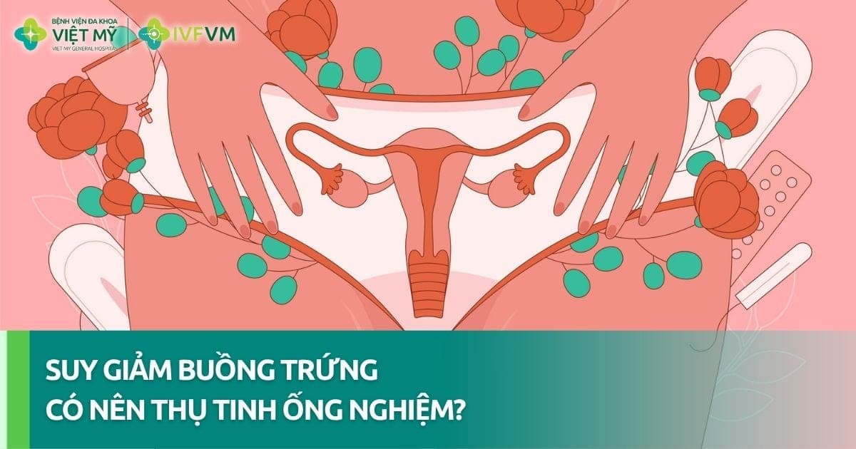 Bị suy giảm buồng trứng có nên thụ tinh ống nghiệm không? thunb