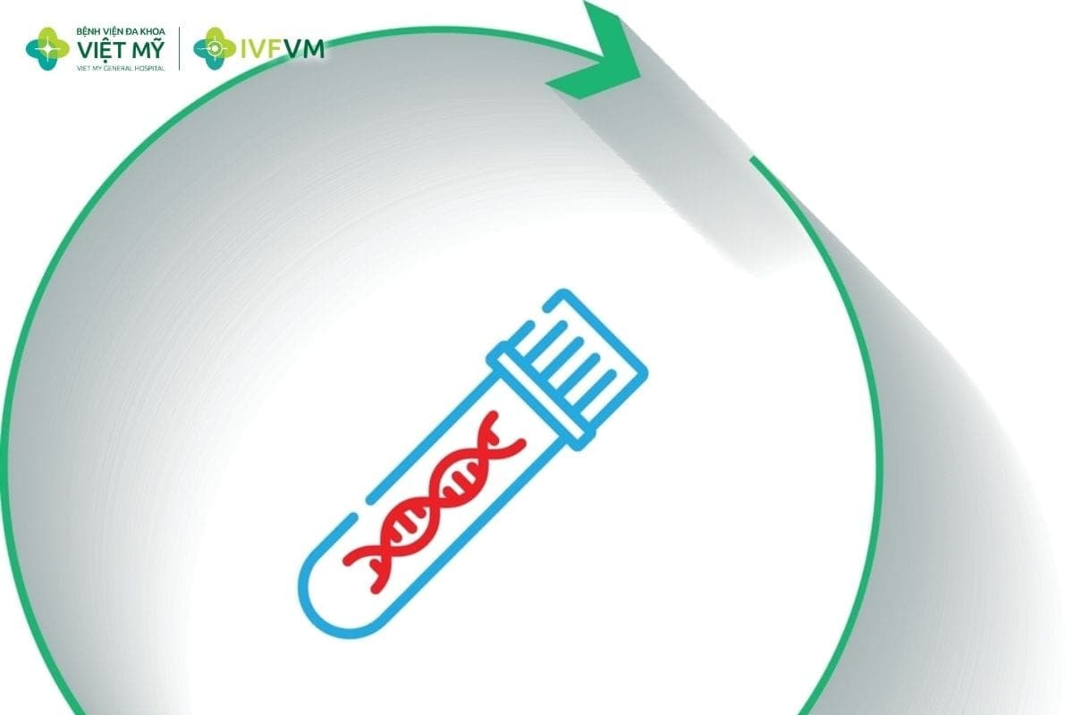 PGT-A giúp đánh giá bất thường số lượng nhiễm sắc thể của phôi trước khi lựa chọn phôi chuyển