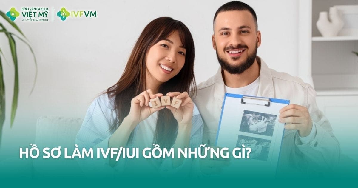 Hướng dẫn chuẩn bị bộ hồ sơ làm IVF/IUI đầy đủ giấy tờ thumb