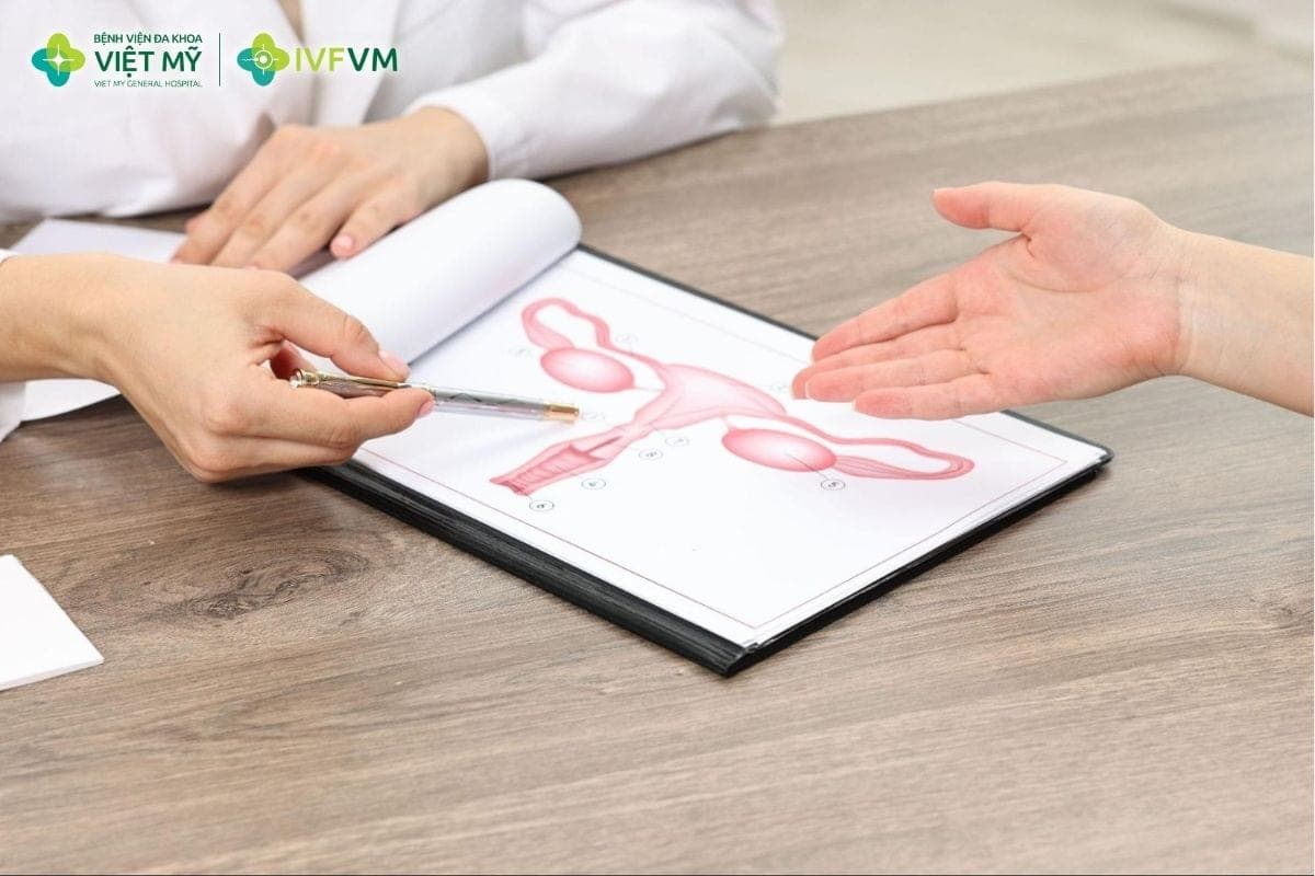 Phác đồ Agonist dài giúp ức chế tuyến yên, kiểm soát phóng noãn và hỗ trợ nang phát triển đồng bộ
